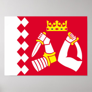 Flagge von Nordkarelien Poster
