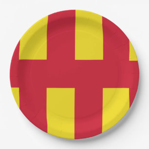 Flagge von Northumberland-Papiertellern Pappteller