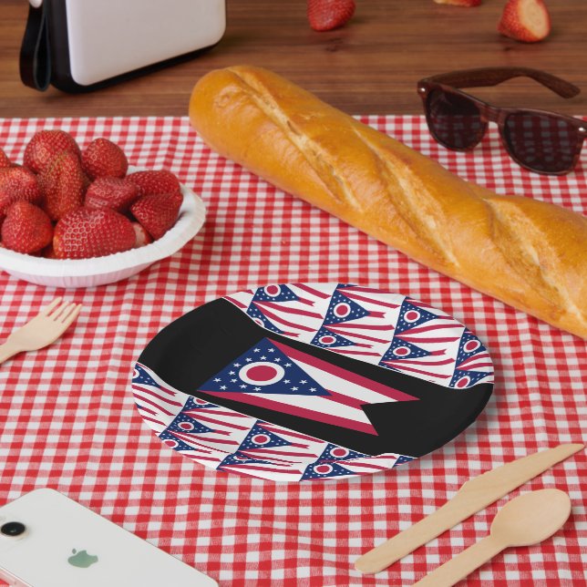 Flagge von Ohio Pappteller (Picknick)