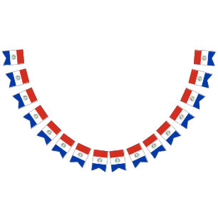 Flagge von Paraguay