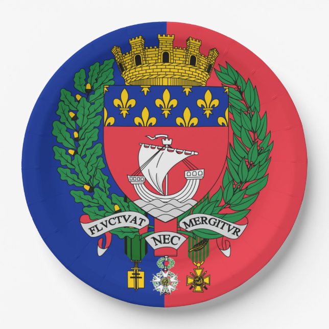 Flagge von Paris, Frankreich Pappteller (Vorderseite)
