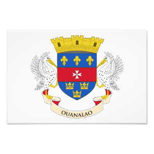 Flagge von Saint-Barthélemy Fotodruck