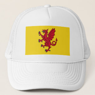 Flagge von Somerset Hat Truckerkappe