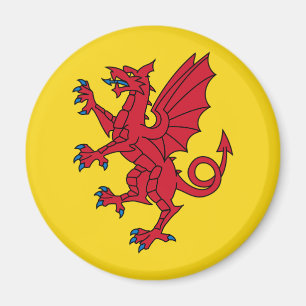 Flagge von Somerset Magnet