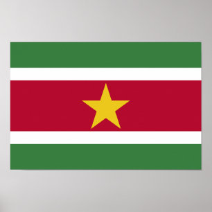 Flagge von Surinam Poster