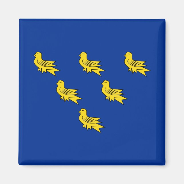 Flagge von Sussex Magnet (Vorne)