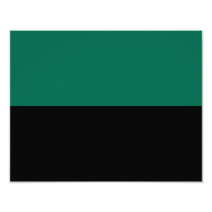 Flagge von Texel Fotodruck