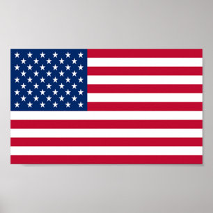 Flagge von USA Poster