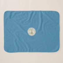 Flagge von Virginia Beach (Virginia, USA)
