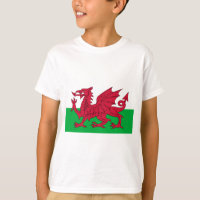 Flagge von Wales - der rote Drache - Baner Cymru