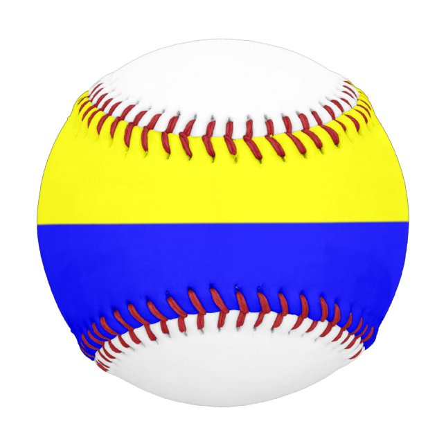 Flagge von Zandvoort Baseball (Vorderseite)