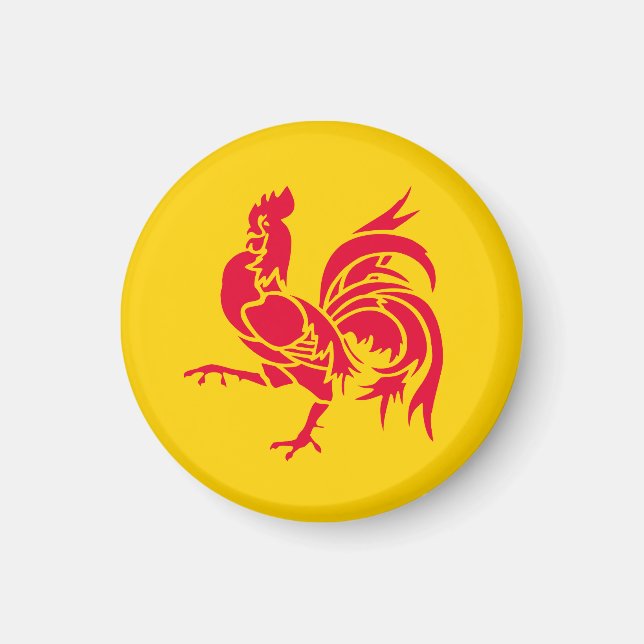 Flagge Walloniens Magnet (Vorne)