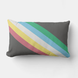 Flaggen des Schwerpunkts Behinderung Lendenkissen