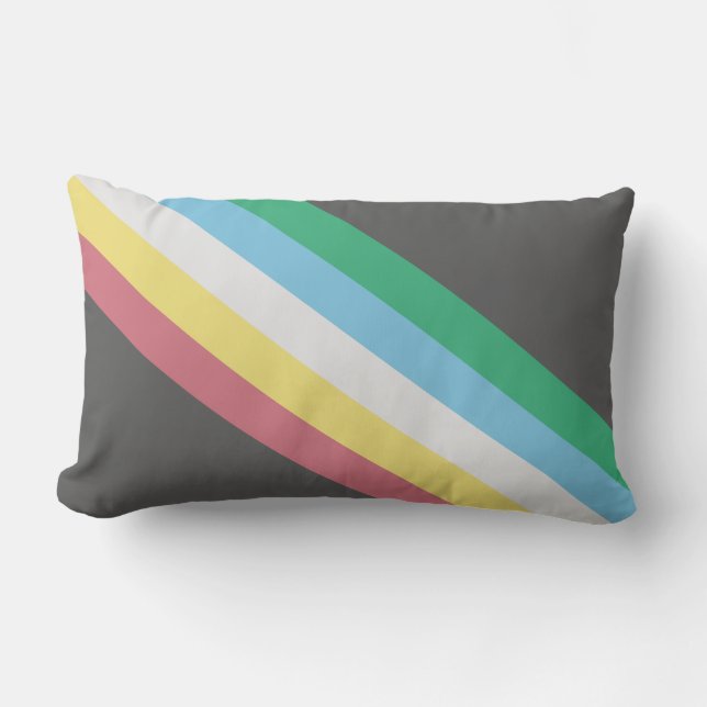 Flaggen des Schwerpunkts Behinderung Lendenkissen (Vorderseite)