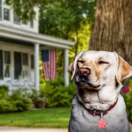 Flaggen Haustiermarke