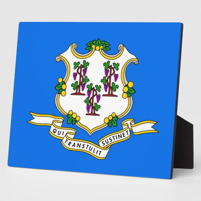 Flaggenebene des Connecticut-Zustands Fotoplatte (Seite)
