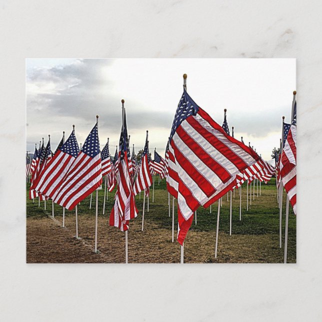 Flaggengebiet - Patriotische amerikanische Flaggen Postkarte (Vorderseite)
