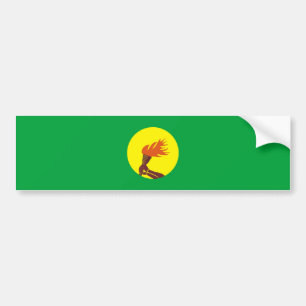 Flaggennations-Symbolname Landes Zaires der Kongo Autoaufkleber