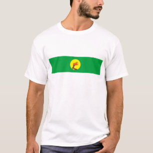 Flaggennations-Symbolname Landes Zaires der Kongo T-Shirt