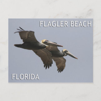 Flagler Beach Pelican Pair Postcard Postkarte