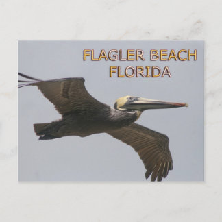 Flagler Beach Pelican Postcard Postkarte