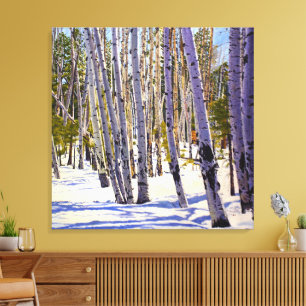 Flagstaff Winter Aspen Landschaft – Daniel Fishbac Leinwanddruck