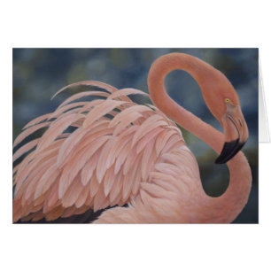 Flamant rose