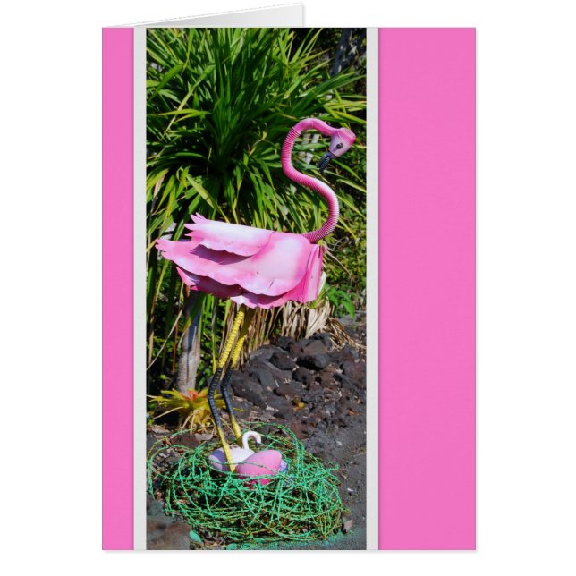Flamant rose avec la carte de boîte aux lettres de (Devant)