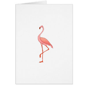 Flamant rose de Frederick