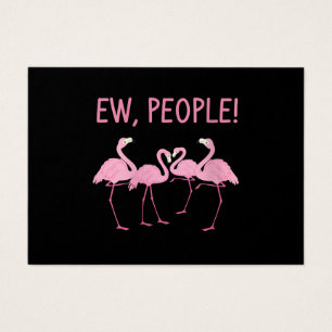 Flamant rose De Nouvelles Personnes Distances Soci