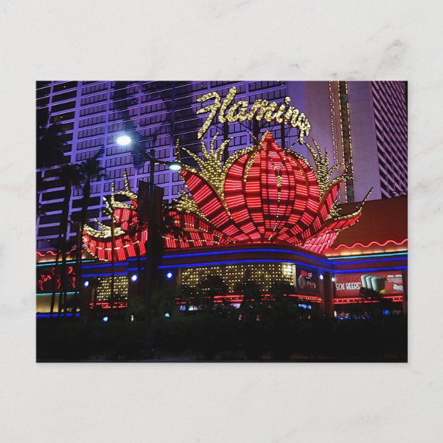 Flamant rose Las Vegas Hotel #1 Carte postale (Devant)