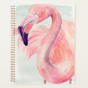 Flamant rose Pastel