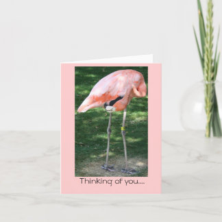 Flamant rose Pensez à vous... Carte