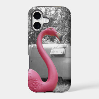 Flamant rose rose