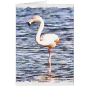 Flamant rose sauvage