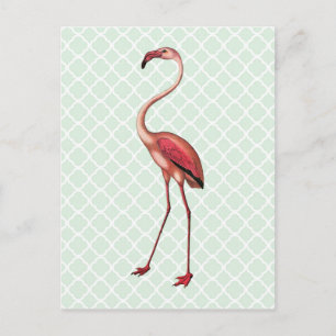 Flamant rose vintage sur carte postale Quatrefoil
