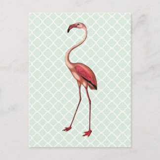 Flamant rose vintage sur carte postale Quatrefoil 