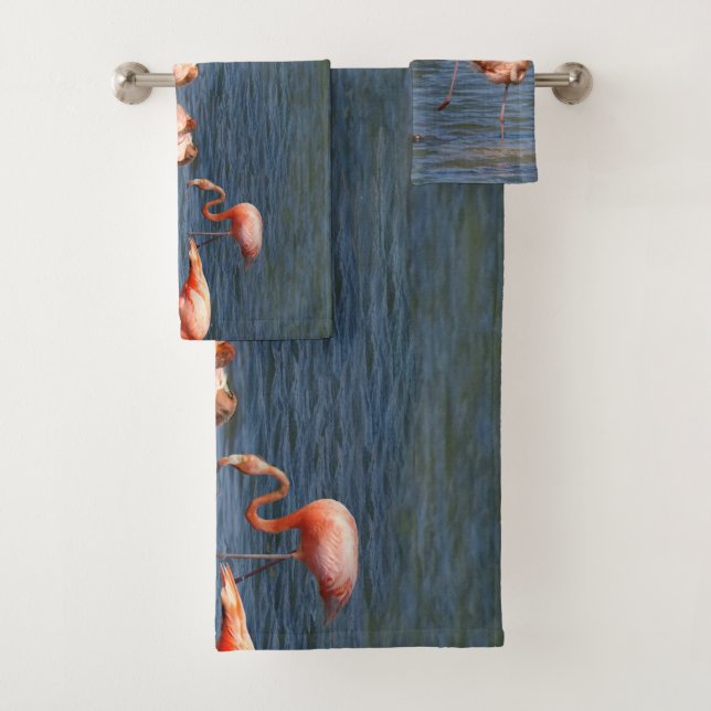 Flamants roses (En situation)