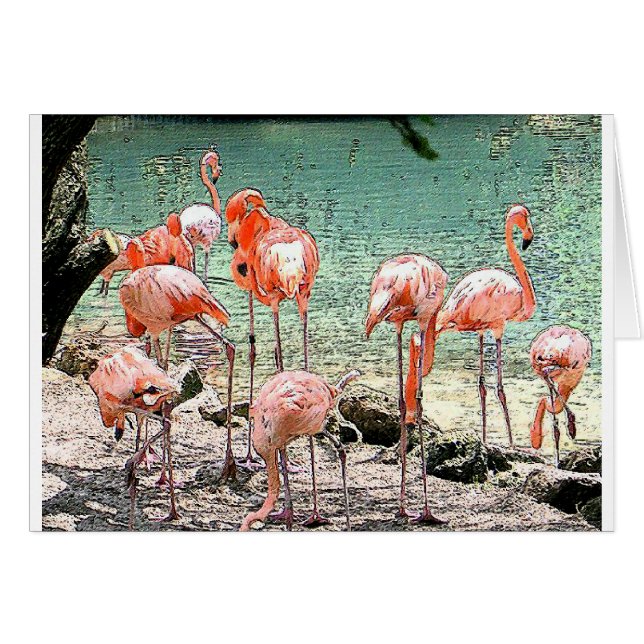 Flamants roses (Devant horizontal)