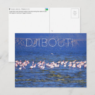 Flamants roses au lac Abhe, carte postale de voyag