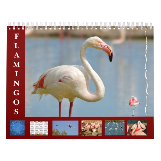 Flamants roses calendrier 12 mois (Protection)