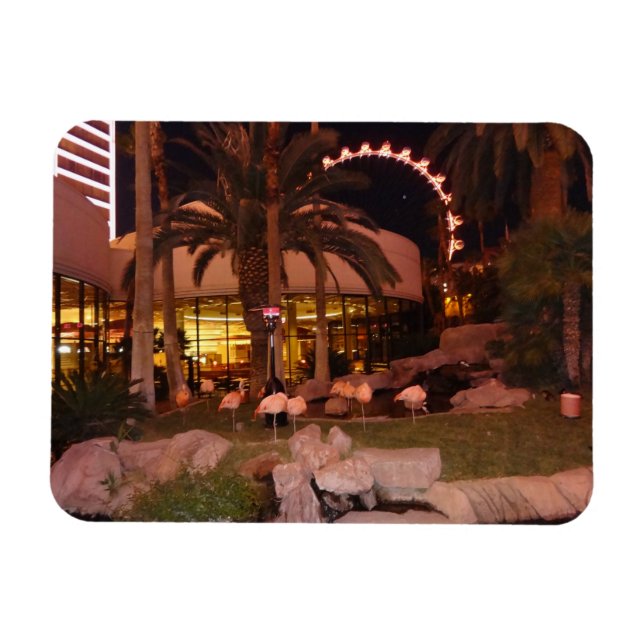 Flamants roses, Las Vegas Photo Magnet (Horizontal)