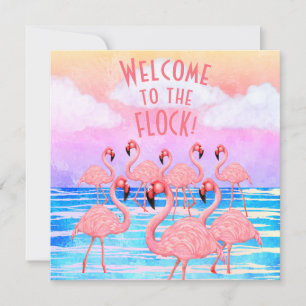 Flamants roses sur la carte de voeux Plat Parade