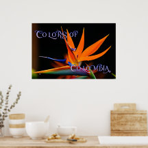 Flamboyant Bird der Paradise-Blume