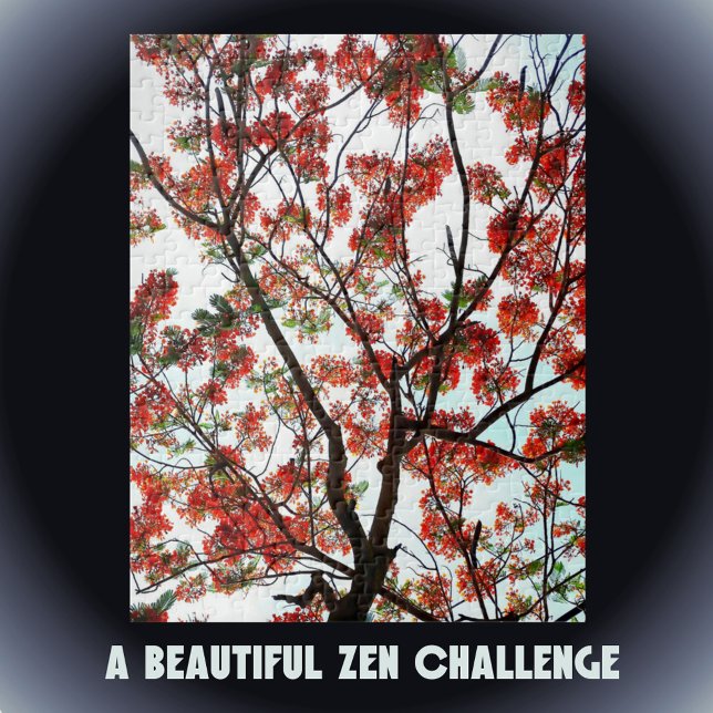 Flamboyant Flame Tree Royal Poinciana Fotografic (Von Creator hochgeladen)