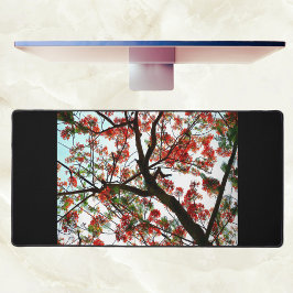 Flamboyant Royal Poinciana Tree Fotografic Black Schreibtischunterlage