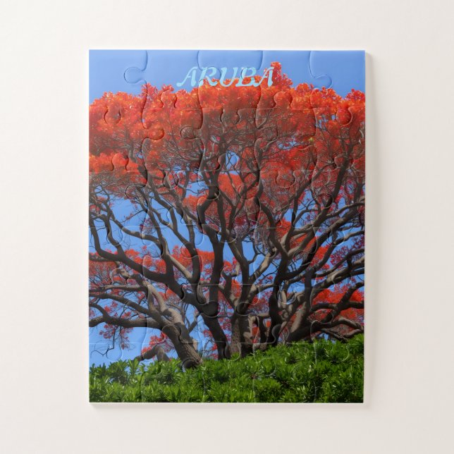 Flamboyantbaum (Vertikal)