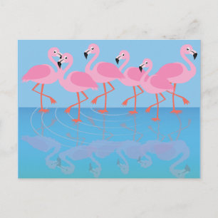 Flamboyanz der Flamingos Postkarte