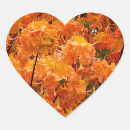 Flame Azalea Blume Herz-Aufkleber