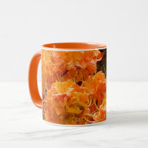 Flame Azalea Blume